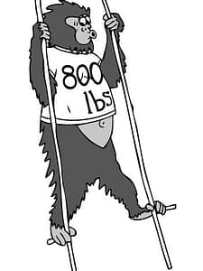 800 PSI? Not on my roof!