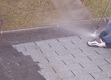 Don't allow this on your roof!