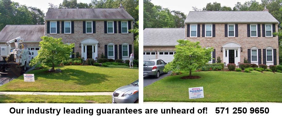 Roof Cleaning Northern Virginia