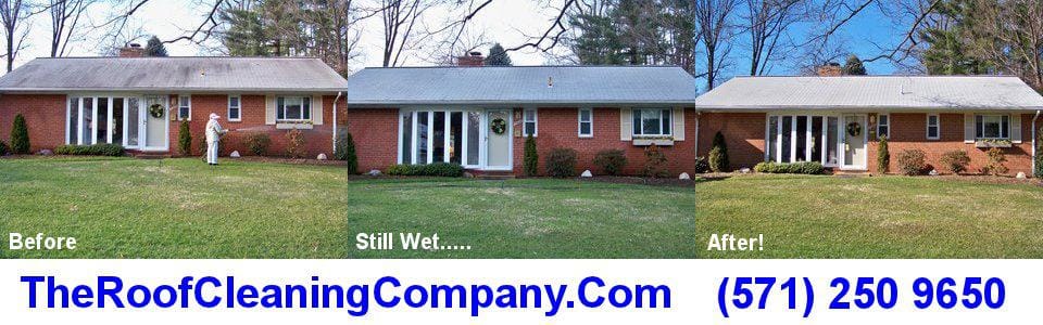 Roof Cleaning Springfield