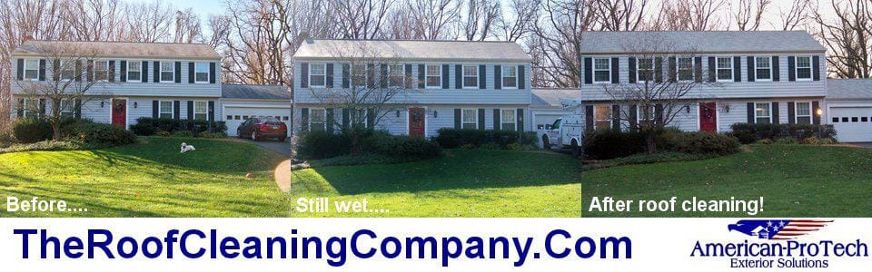 Roof Cleaning Reston